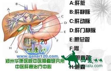 肝癌的诱因 引发肝癌的4个诱因