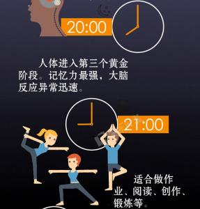 人体24小时使用手册 人体二十四小时使用手册