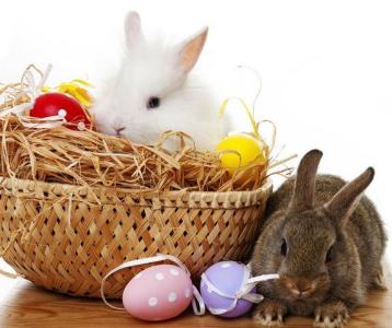 复活节兔子的由来 关于复活节兔子的由来