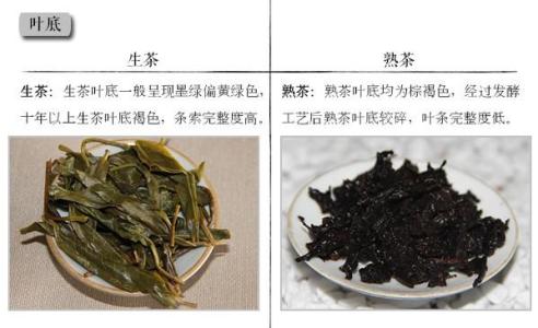 普洱生茶和熟茶的功效 普洱生茶和熟茶的区别，功效
