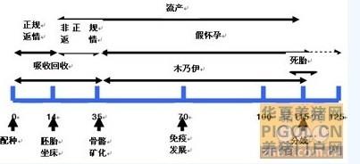 保健品成分检测 含中药成分的保健食品适可而止