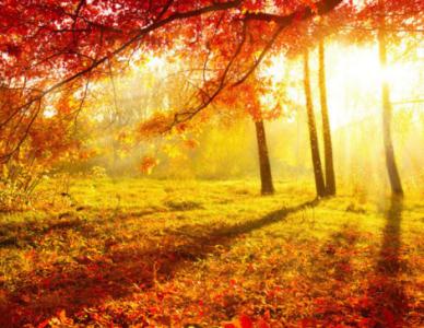关于夏天的古诗词 关于秋天的古诗词