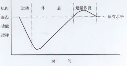 如何判断超量恢复 要如何超量恢复