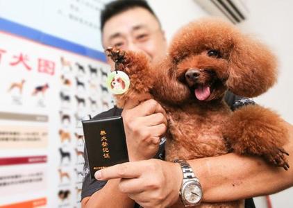 养犬登记证 怎么办理养犬登记