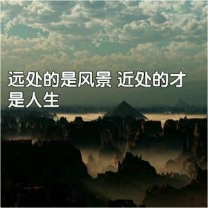 远处是风景近处是人生 远处是风景，近处的才是人生