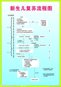 新生儿复苏 新生儿复苏是怎么回事