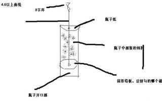 海竿的使用方法 海竿的架设方法