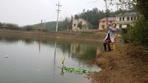 肥水塘垂钓 春季钓肥水塘小经验