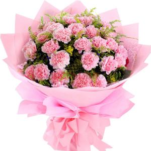 粉色康乃馨代表的花语 粉红色康乃馨的花语
