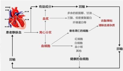 自体输血 自体输血为分娩加道“安全锁”