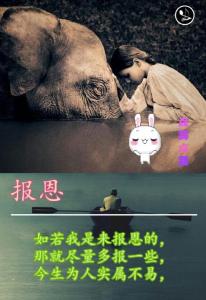 你是我生命的过客 你是我人生的一个过客