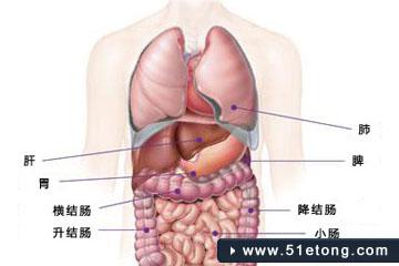 容易过敏是身体缺什么 身体缺什么容易肺癌