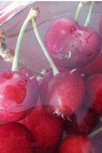 樱桃用盐水泡出虫子 樱桃真能泡出虫吗