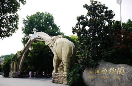 上海动物园怎么坐地铁 上海动物园