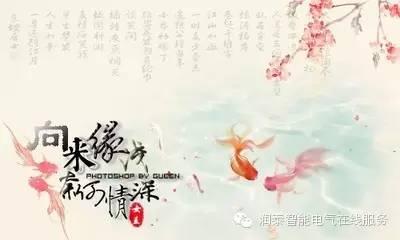 美文：向来缘浅，奈何情深