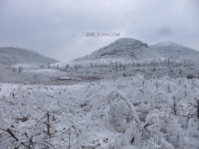 3月养生小常识大全 什么是雪灾，雪灾小常识大全(3)