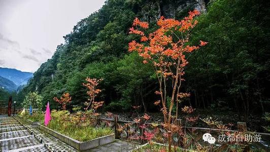 四川免费旅游景点 四川八大免费景点_四川哪些地方是免费的