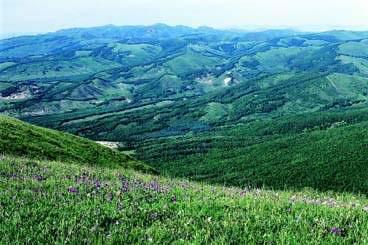 内蒙古峰谷电价 内蒙古黄岗峰