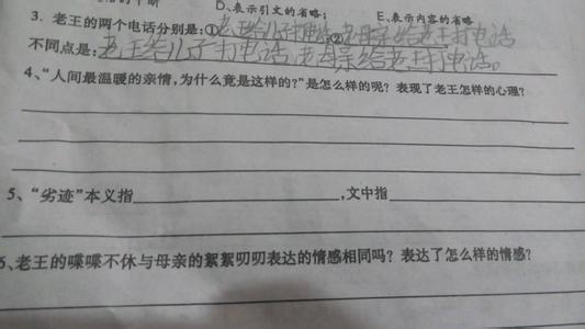 老王语文阅读题及答案 老王阅读答案