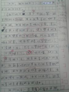 蚂蚁的启示作文450字 一次家务事的启示作文450字