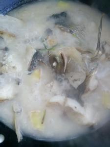 草鱼汤的做法 草鱼汤的做法图解