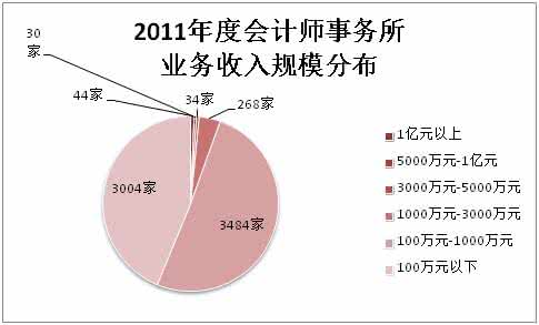 个人业务工作总结范文 2015年业务工作总结范文(会计师)