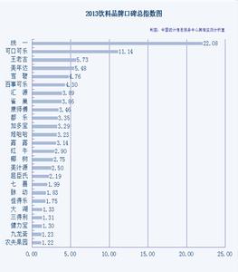 销售年终总结 饮料销售2013年终工作总结