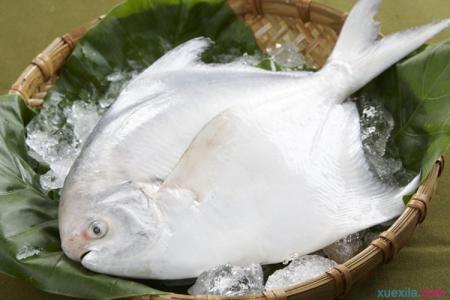 银鲳鱼 银鲳鱼做饭方法