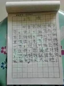 我学习了做家务活作文