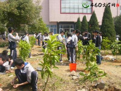 3.12植树节活动总结 2015年3.12学校植树节活动总结