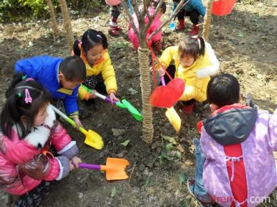 幼儿园植树节活动反思 幼儿园植树节活动总结
