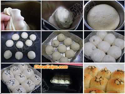 酸奶面包的做法 中种酸奶面包的具体做法步骤
