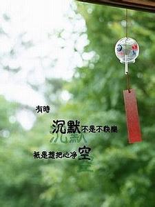 净空法师讲心经全集 有时沉默，只是想把心净空