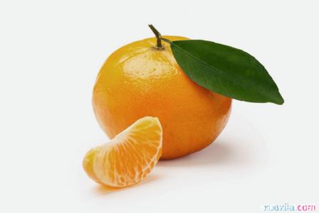 怎样选购防辐射服 怎样选购橘子