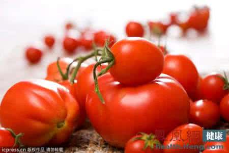 西红柿的营养价值 挑选西红柿的方法西红柿的营养价值