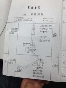 大学生期末自我总结 大学生期末个人总结