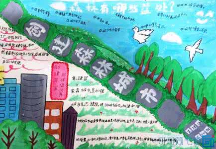 创建森林城市手抄报 小学生创建森林城市手抄报