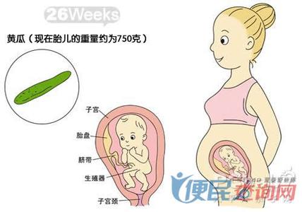 卵泡1.5 mm受孕健康吗 健康受孕十大要点