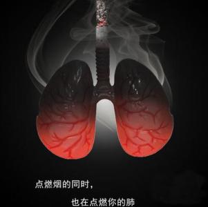 抽烟对肝脏的影响 抽烟对肝脏的危害有什么