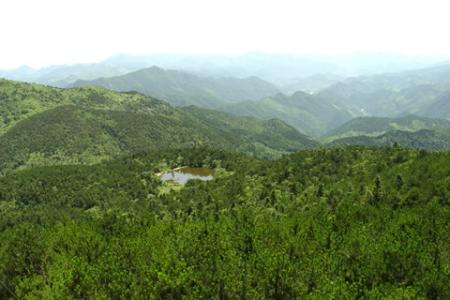 白露山 金华白露山