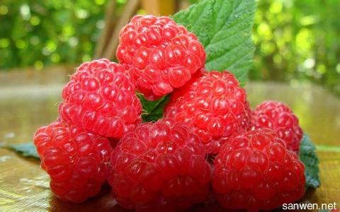 树莓派 安防 多吃树莓有助于防肝癌