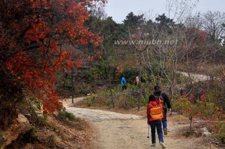 北京免费爬山的地方 北京免费爬山的地方_北京去哪里免费爬山