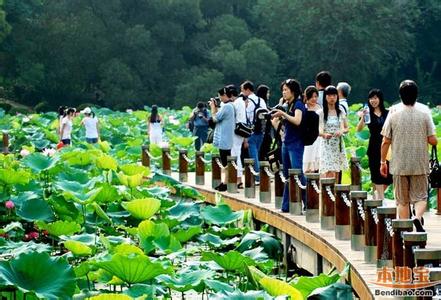 广州旅游景点大全介绍 广州值得去的免费旅游景点介绍