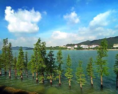 广州最值得去的景点 广州值得去的十个免费景点(2)