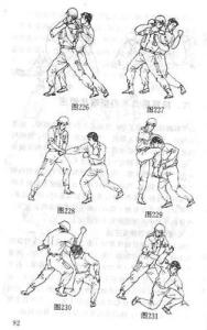 格斗术二十套路图片 常用格斗术套路