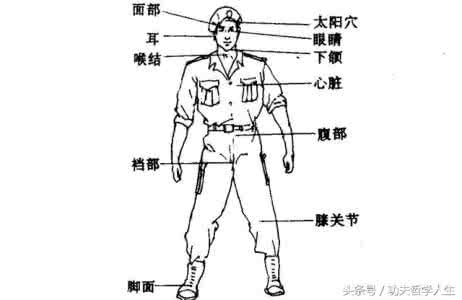 街头格斗技巧 街头格斗人体最薄弱部位