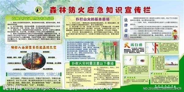 森林防火讲话稿 森林防火宣传讲话稿_森林防火宣传发言稿