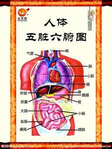 你不知道的生活小常识 中国人不能不知道的常识