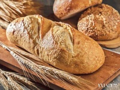 减肥全麦面包的做法 减肥全麦面包的具体做法