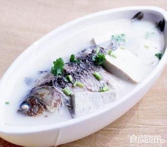 鲫鱼炖豆腐的做法 鲫鱼炖豆腐汤的6种好吃做法